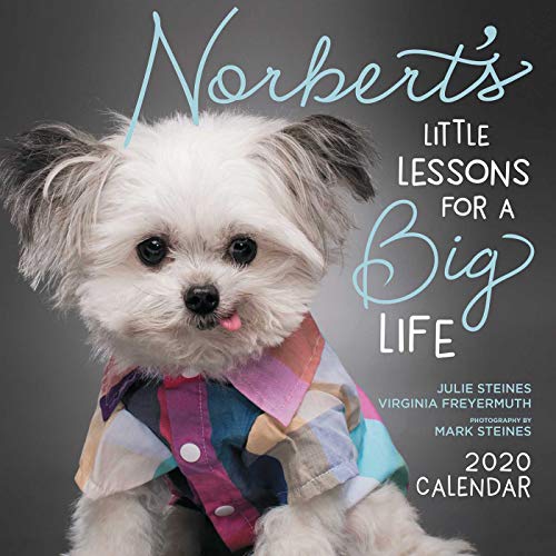 Norbert's Little Lessons for a Big Life 2020 Wall Calendar by Julie Steines, Virginia Freyermuth