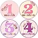 Baby Girl Monthly Milestone Stickers 1-12 Months Newborn Girl Butterfly Bodysuit Stickers by Mumsy Goose