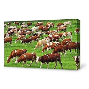 SIGNFORD Canvas Wall Art for Living Room,Bedroom Home...