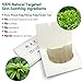 MARY LAVENDER Oil Blotting Paper sheets with Green Tea for Face,100% Natural Absorbing Excess Shine Oil Tissues for Both Men Women,Prevent Blackhead Acne,Free of Synthetic Fragrance,200 Sheets(2 Pack)