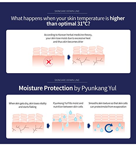 [ Pyunkang Yul ] Moisture Serum 100ml / 3.3 Fl. oz.