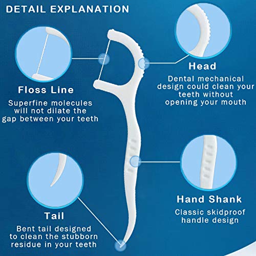 LeoN Home Unwaxed Dental Floss Picks 300 PCS w/ Travel Carry Case