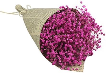CMrtew Natural Dried Flower, Natural Dried Flower Baby's Breath Gypsophila Home Office Bouquet Decor (Hot Pink)