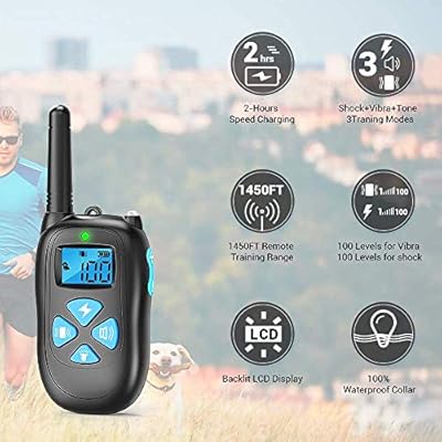 oldest irish wolfhound