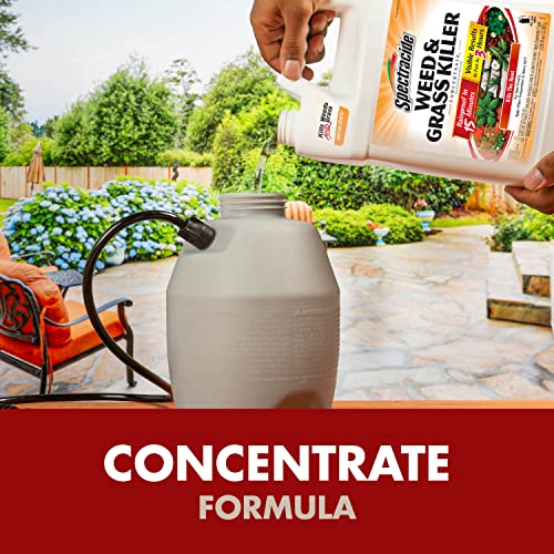 Spectracide Weed And Grass Killer Concentrate 1 Gallon, Use On Patios