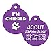 GoTags Funny Dog and Cat Tags Personalized with 4 Lines of Custom Engraved Text, Dog and Cat Collar ID Tags Come with Glow in The Dark Silencer to Protect Tag and Engraving, (I Am Chipped)