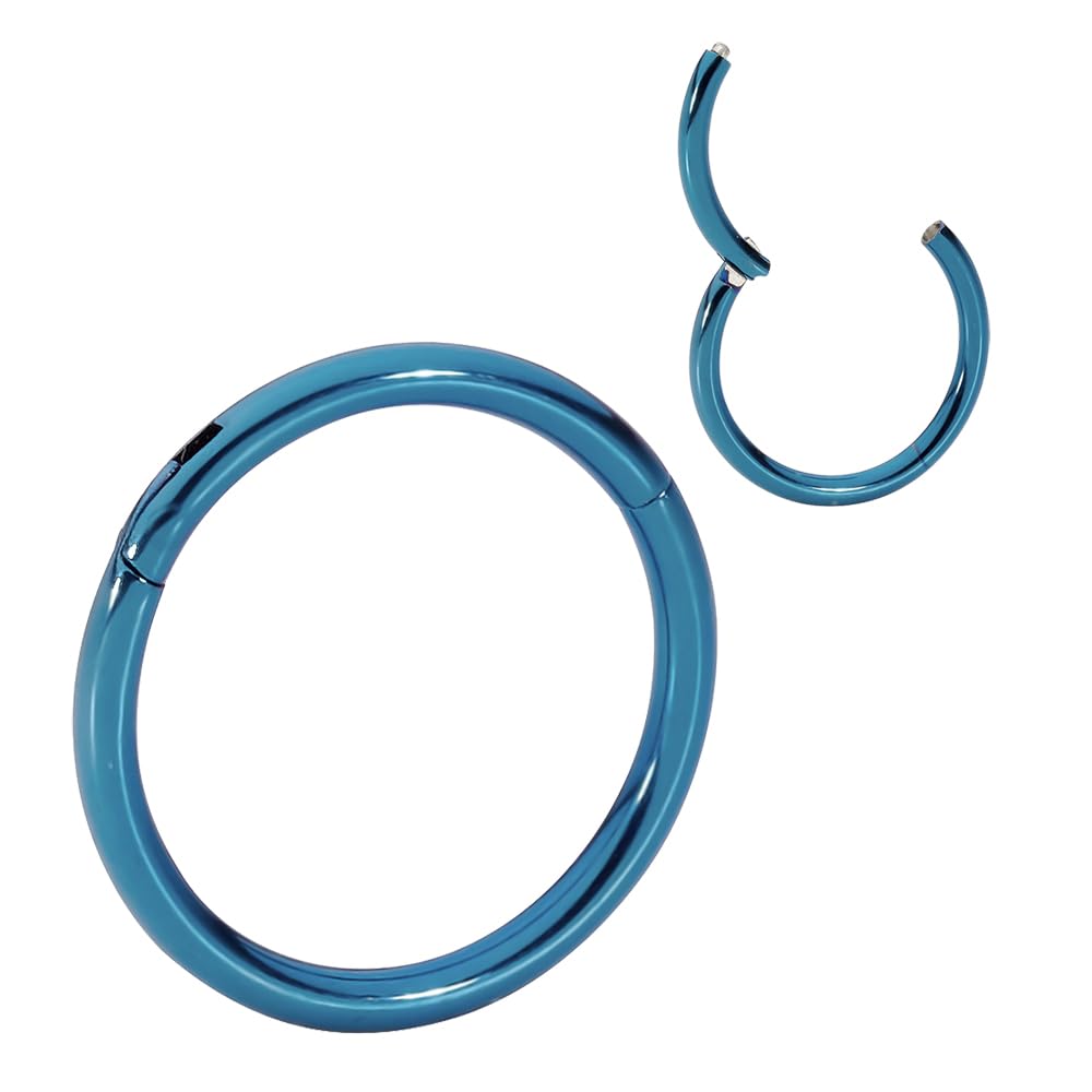 365 SLEEPERS 316L Surgical Steel Hypoallergenic Nose Rings Septum Jewellery Hinged Segment Ring Body Piercing Hoop Lip Rings Helix Cartilage Rook Earrings (16G 6mm)