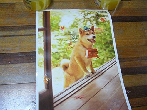 ポスター 柴犬 図書カード 豆柴 縁側 まめ柴の買取価格 相場 高価買取なら買取一括比較のウリドキ