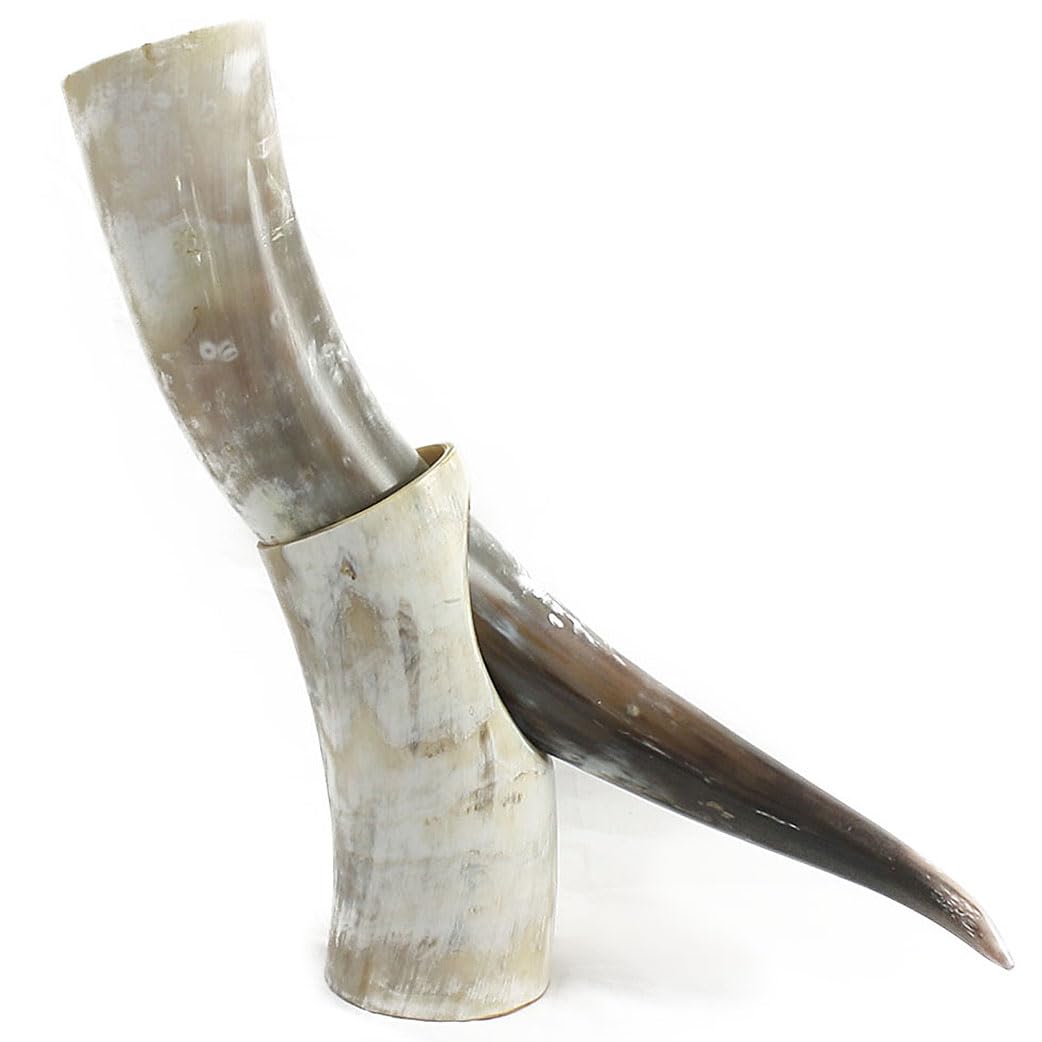 HORNCRAFT Drinking Horn with Horn Stand | Genuine Ox Horn | Polished Finish | 17 to 21 Inches in Length | | Holds 600ml - 1000ml Capacity | Viking Drinking Horn Beer Cup Mug | Perfect for Re-Enactment