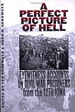 A Perfect Picture of Hell : Eyewitness Accounts by Civil War Prisoners from the 12th Iowa, , 087745759X