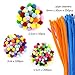 HEHALI 800pcs Pipe Cleaners Set，Including 350pcs Colorful Pom Poms,250pcs 10 Colors Pipe Cleaners and 200pcs Wiggle Googly Eyes for Craft DIY Art Supplies (800pcs)