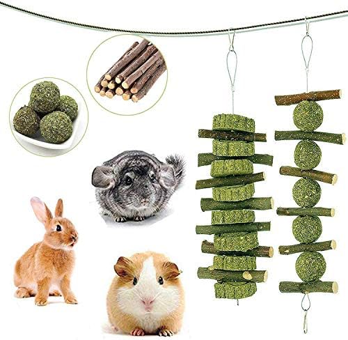 Petawi Bunny Toys Supplies Rabbit Chinchilla Treats and Chews Toys for Teeth Natural Organic Apple Wood Chew Sticks Pet Supplies for Chinchilla Dwarf Rabbit Guinea Pig Rat Hamster Squirrel