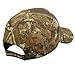 Mossy Oak Break Up Infinity American Flag Washed Cap