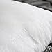 MIULEE Pack of 2, Decorative Pillow Insert Polyester Cotton Indoor White Adjustable Throw Pillows for Sofa Bed 20