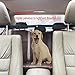 Yunzhu Car Pet Barrier Dog Vehicle Backseat Mesh,Universal Elastic Safety Car Seat Net for SUV Vans Trucks,Disturb Stopper from Children and Pets,Include Pet Seat Safety Belts