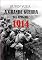 Livro 1914 - Dia Após Dia