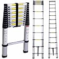 Luisladders Oshion Aluminum Telescoping Telescopic Extension Ladder 330 Pound Capacity (12.5 Feet)