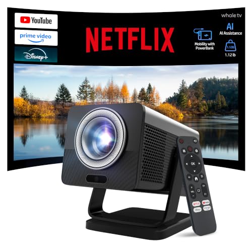 HP Projector Netflix USB-C Power Bank