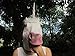Lubber Novelty Halloween Costume Latex Animal Mask, Unicorn Horse Head Multicolored