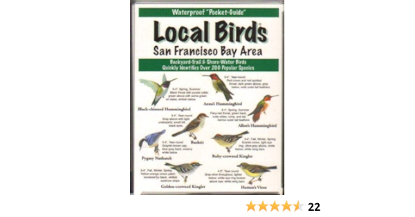 local bird stores