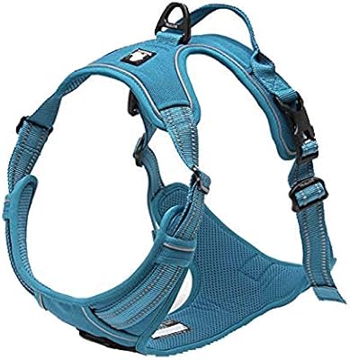 true love harness amazon