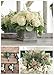 Faux Silver Dollar Eucalyptus | 8 Stems | Artificial Classic Silk Greenery Leaves for Floral Arrangement