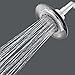Speakman S-4002 Reaction Single-Function Showerhead for Stylish Bathroom Décor, 2.5 GPM, Clear Smokey Gray