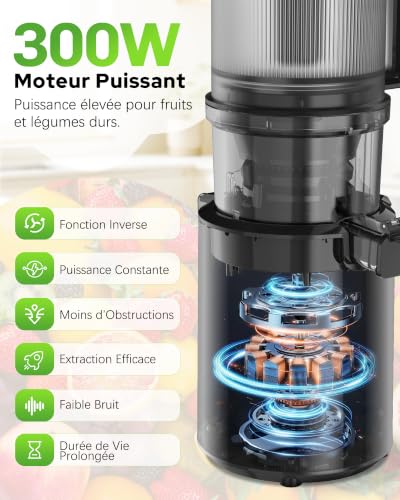 WIE Extracteur de Jus Slow Juicer Goulotte Large 135 mm pour Fruits et Légumes Entiers Moteur 300W Grande Capacité 2.6 L Presse à Froid Silencieuse