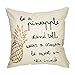 Fahrendom Be a Pineapple Stand Tall Wear a Crown Inspirational Quote Décor Spring Summer Farmhouse Decoration Cotton Linen Home Decorative Throw Pillow Case Cushion Cover for Sofa Couch 18 x 18 in