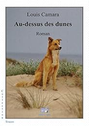 Au-dessus des dunes