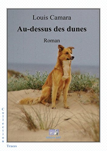 Au-dessus des dunes