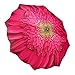 Galleria Gerbera Daisy Folding Umbrealla (Gerbera Daisy)