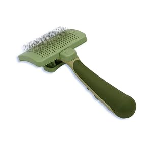 Finding The Best Brush For Cats Because They Deserve The Best A