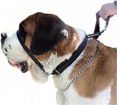 Canny Colossus Anti-Pull Dog Collar (One Size) (Black)