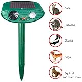 Redeo Cat Repellent Outdoor Solar Powered Ultrasonic Animal &amp; Pest Repeller Scare Cat Dog Deer Rabbit Squirrel and Other Unwanted Animals Away