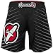 Hayabusa Kasumi-S Fight Shorts