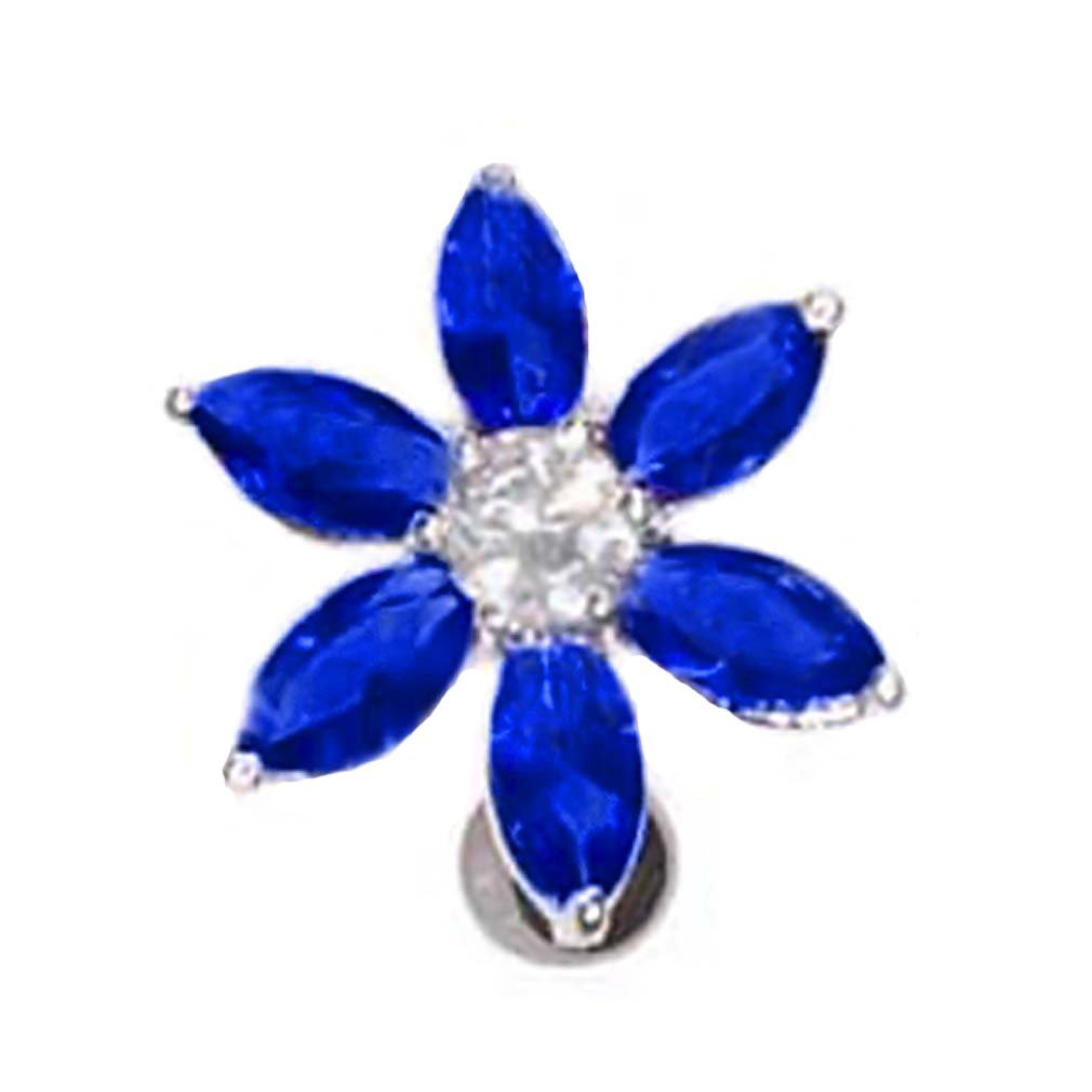 Emperor penguin habitat image