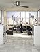 Fanimation FPS7955BN Embrace Brushed Nickel 52