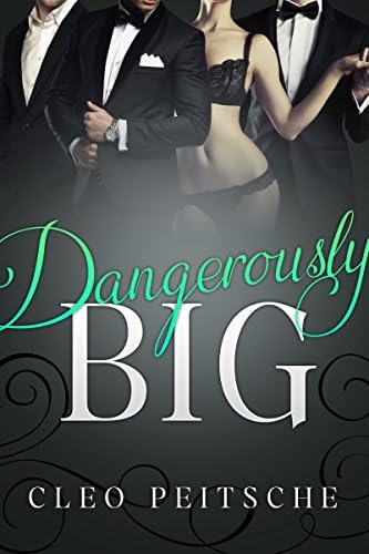 Dangerously Big (Executive Toy Book 3)
