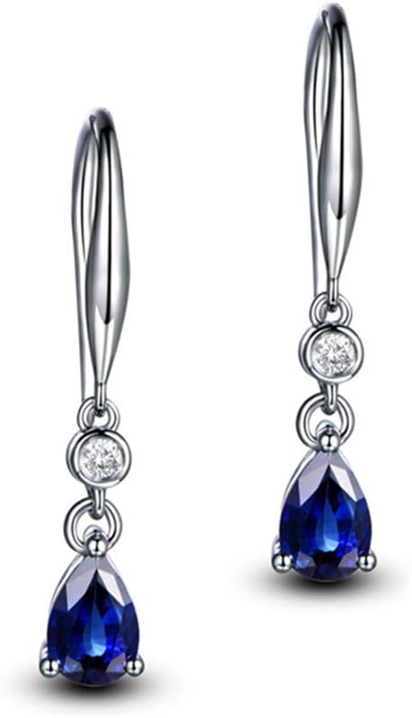 925 Sterling Silver Plated CZ Simulated Sapphire Blue Water drop Tassel Lever pack Dangle Earrings