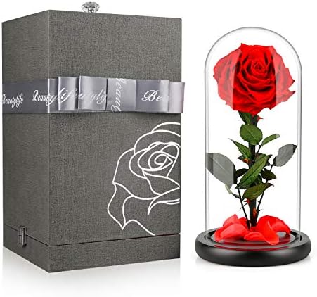 AXUAN Real Rose 13''H Beauty and The Beast Enchanted Rose, Preserved Fresh Rose in Glass Dome Romantic Forever Gift for Her Anniversary Valentine's Day Christmas Mothers Day (Red)