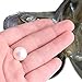 1PC Oyster Saltwater with 10 Mix Color Round Love Wish Pearls Inside 10 Colors (7-8mm), Valentines Mothers Day Birthday Gifts Pearl Wedding Party (Total 10 Pearls)