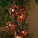 Pansdore Christmas Lights 10 Bulbs Brown Rattan Ball String Lights Warm White for Party Patio Garden Outdoor Indoor Decoration, Green Wire