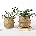 RISEON Natural Seagrass Belly Basket Panier Storage Plant Pot Collapsible Nursery Laundry Tote Bag with Handles (13