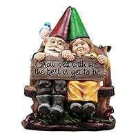 Ebros Grow Old with Me Mr and Mrs Gnome Statue 11