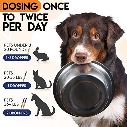 Dewormer for Dogs and Cats Natural Treatment from Tapeworm, Roundworm