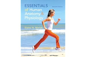 Essentials of Human Anatomy & Physiology (11th Edition)