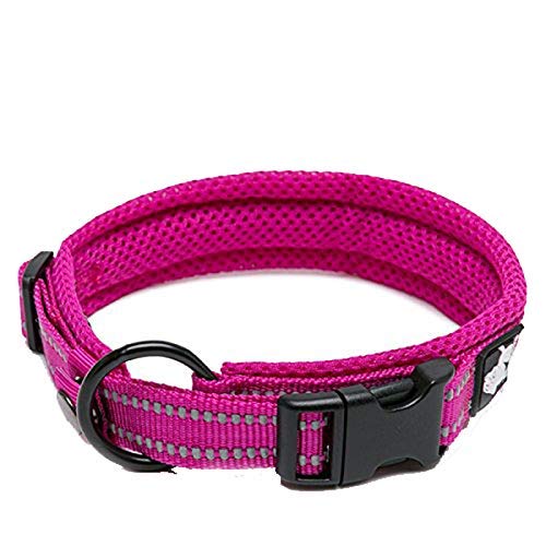 WINHYEPET True Love Dog Collar Reflective Sandwich lining Nylon Webbing Comfortable and Safe Adjustable Buckle convenient used for walking for Samll/Medium/Large neck ring TLC5011(Fushcia,M)