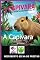Livro A Capivara