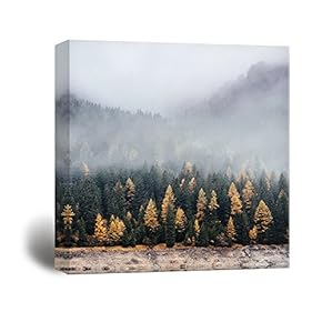 Square Canvas Wall Art - Pine Forest in The Fog - Giclee Print Gallery Wrap Modern Home Art Ready to Hang - 12x12 inches
